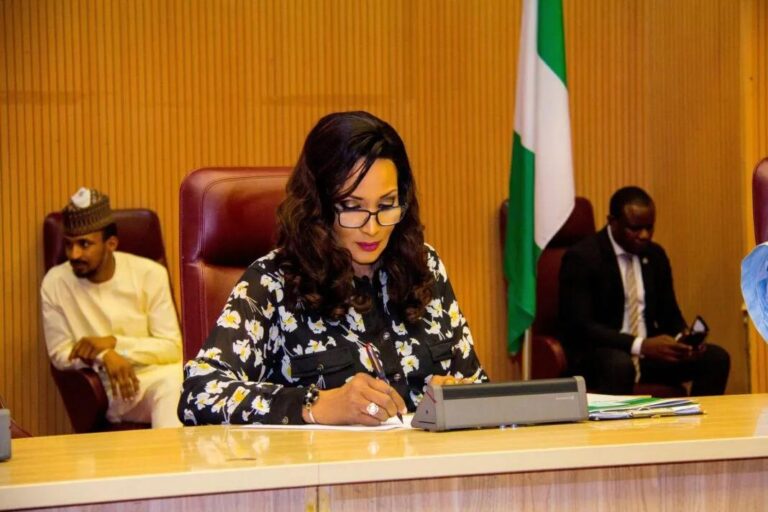 Nigeria sends a high-level delegation to South Africa in response to xenophobic attack