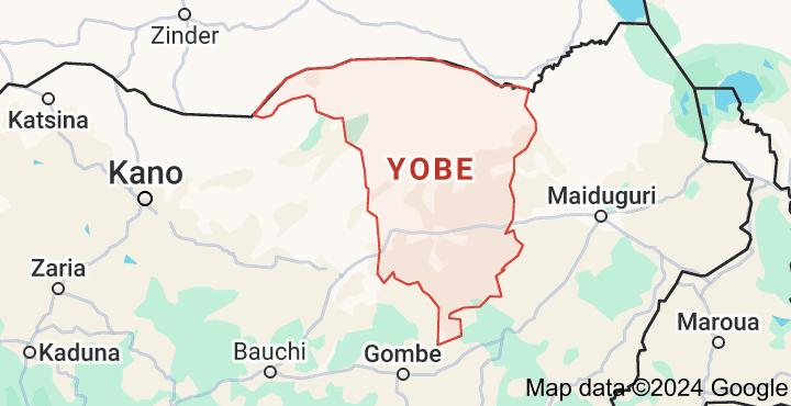 Troops eliminate 50 ISWAP fighters, seize weapons in Yobe attacks