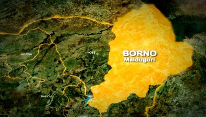 Many children feared abducted as Boko Haram invades Borno school
