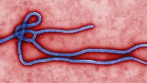 Ebola: Airlines advised to stop carrying suspected infected passengers