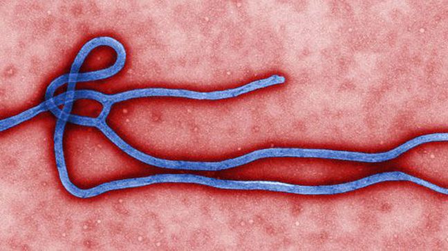 Ebola: Airlines advised to stop carrying suspected infected passengers