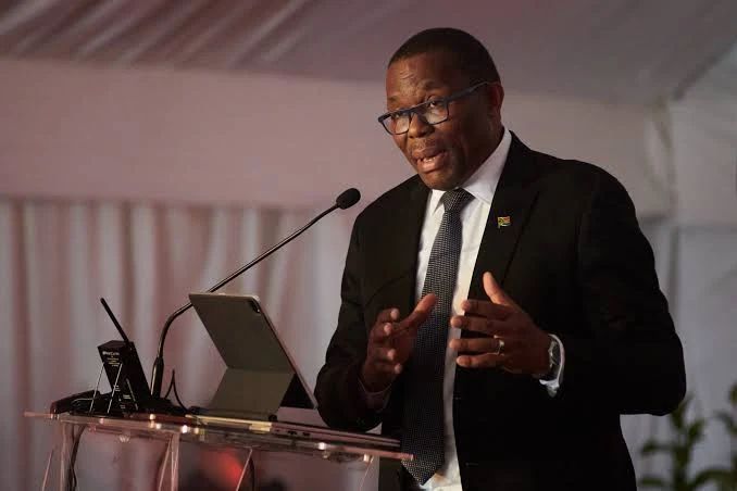 Xenophobia: Durban mayor directs immigration checks on Nigerians and other Africans in South Africa