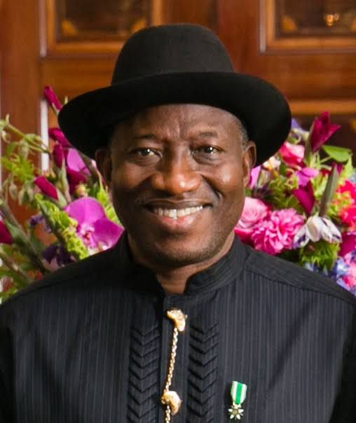 Turaki-led PDP exempts Jonathan from screening process