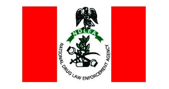 NDLEA Recovers 380 Rounds of Ammunition, Over 1.2 Tonnes of Cannabis in Kaduna Operations