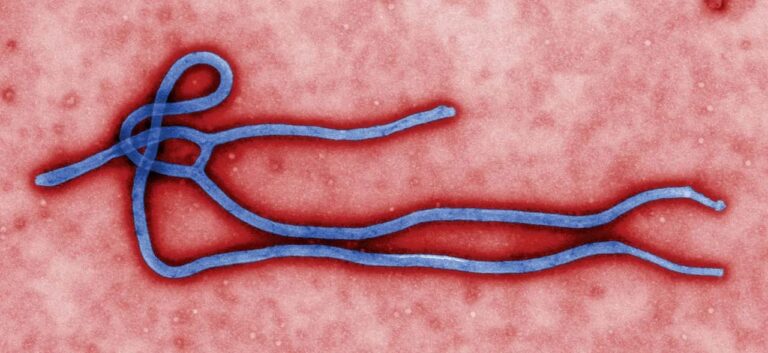 Ebola threat: FG strengthens screening at airports, seaports, borders