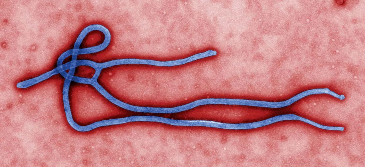 Ebola threat: FG strengthens screening at airports, seaports, borders