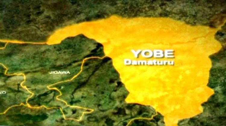 Police bust illegal gun-making workshop, arrest seven suspects in Yobe