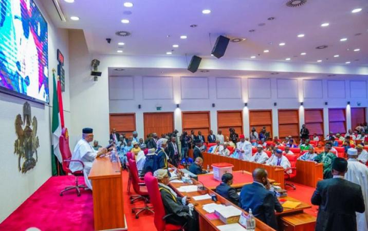 Senate Moves to Accelerate State Police Legislation Amid Escalating Insecurity
