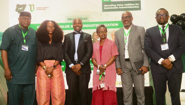 Interswitch Advocates Increased Energy Infrastructure Investment to Drive Financial Inclusion in Africa